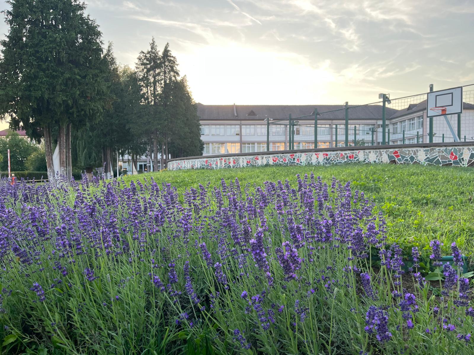 Campus si despre noi