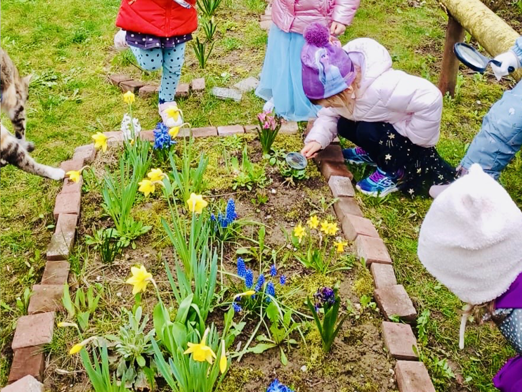 sanatate-si-siguranta-44